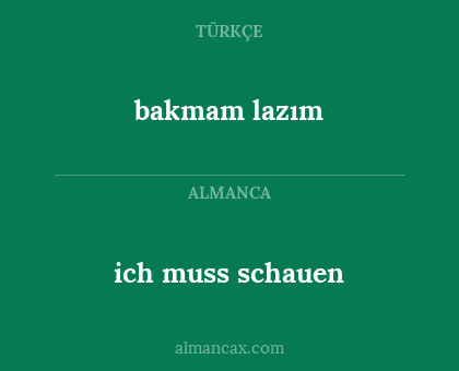 ich muss schauen - bakmam lazım