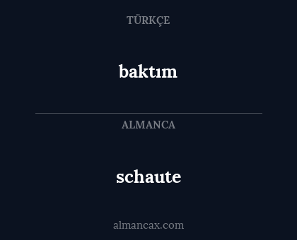 schaute - baktım