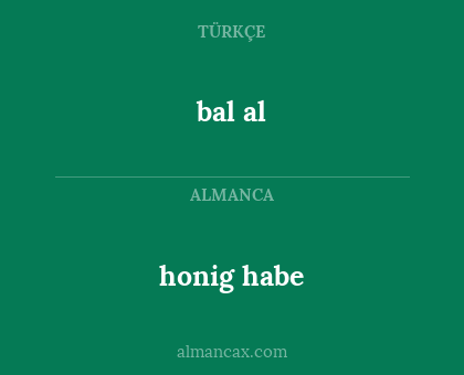bal al - honig habe