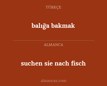 balığa bakmak - suchen sie nach fisch