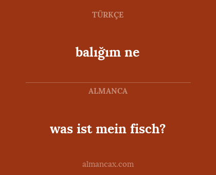 was ist mein fisch? - balığım ne