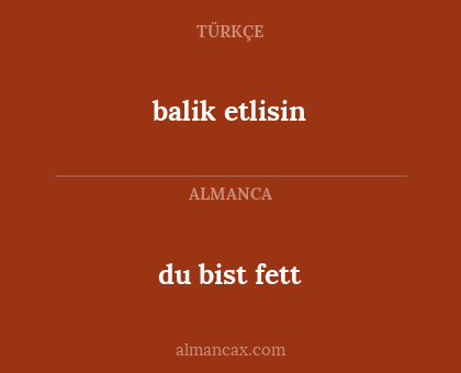 balik etlisin - du bist fett