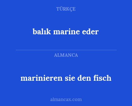 balık marine eder - marinieren sie den fisch