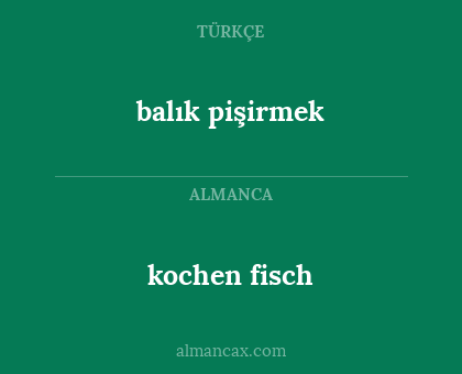 balık pişirmek - kochen fisch