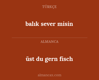 balık sever misin - üst du gern fisch