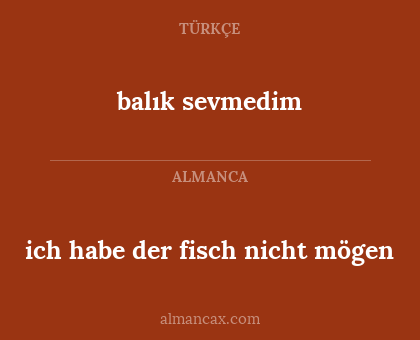 ich habe der fisch nicht mögen - balık sevmedim