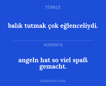 balık tutmak çok eğlenceliydi. - angeln hat so viel spaß gemacht.