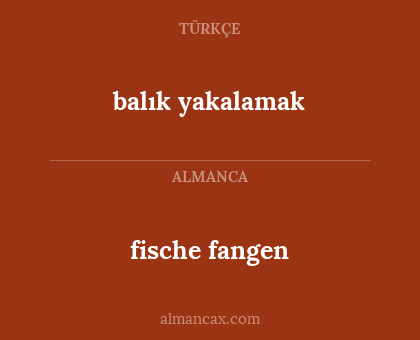 balık yakalamak - fische fangen