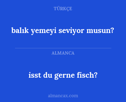isst du gerne fisch? - balık yemeyi seviyor musun?