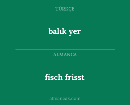 balık yer - fisch frisst