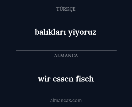 wir essen fisch - balıkları yiyoruz