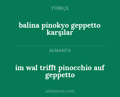 im wal trifft pinocchio auf geppetto - balina pinokyo geppetto karşılar