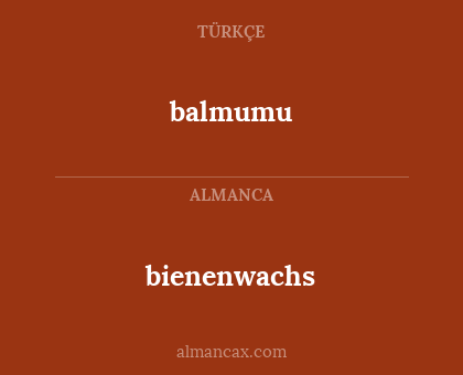 bienenwachs - balmumu