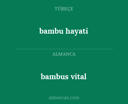 bambus vital - bambu hayati