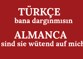 bana+darg%C4%B1nm%C4%B1s%C4%B1n-sind+sie+w%C3%BCtend+auf+mich.png
