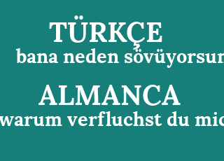 me+why+s%C3%B6v%C3%BCyorsun-warum+verfluchst+du+mich%3F.png