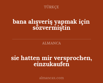 sie hatten mir versprochen, einzukaufen - bana alışveriş yapmak için sözvermiştin