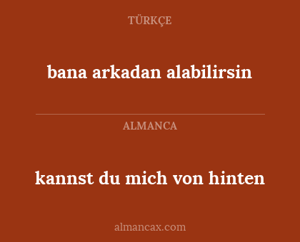 bana arkadan alabilirsin - kannst du mich von hinten
