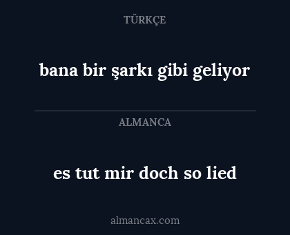 es tut mir doch so lied - bana bir şarkı gibi geliyor