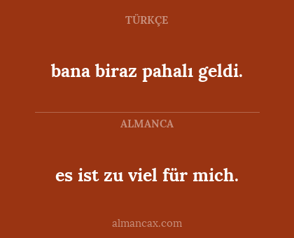 bana biraz pahalı geldi. - es ist zu viel für mich.