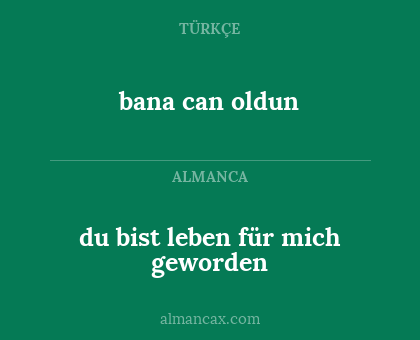du bist leben für mich geworden - bana can oldun