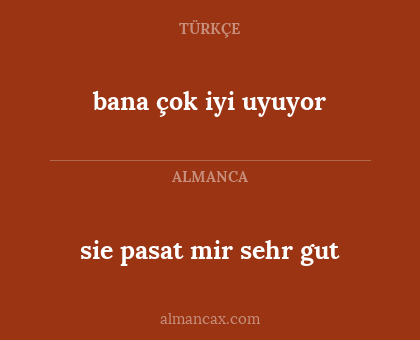 sie pasat mir sehr gut - bana çok iyi uyuyor