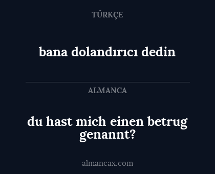 du hast mich einen betrug genannt? - bana dolandırıcı dedin