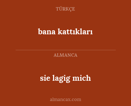 sie lagig mich - bana kattıkları