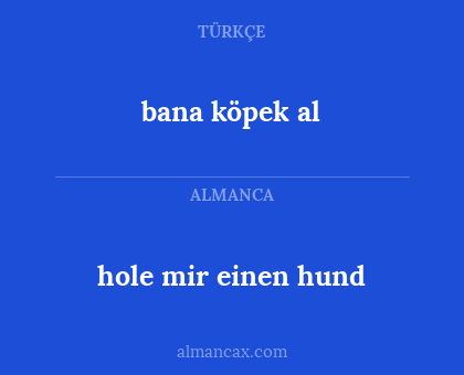 hole mir einen hund - bana köpek al