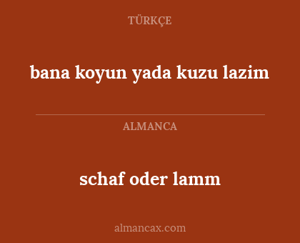 schaf oder lamm - bana koyun yada kuzu lazim