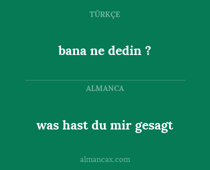bana ne dedin ? - was hast du mir gesagt