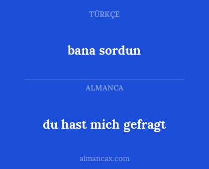 du hast mich gefragt - bana sordun
