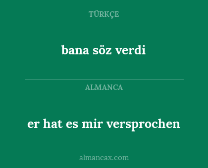 er hat es mir versprochen - bana söz verdi