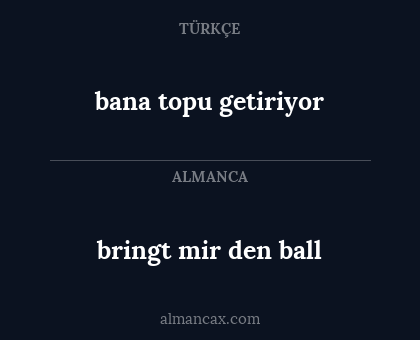 bringt mir den ball - bana topu getiriyor