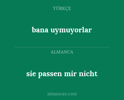 sie passen mir nicht - bana uymuyorlar