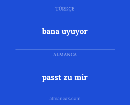 passt zu mir - bana uyuyor