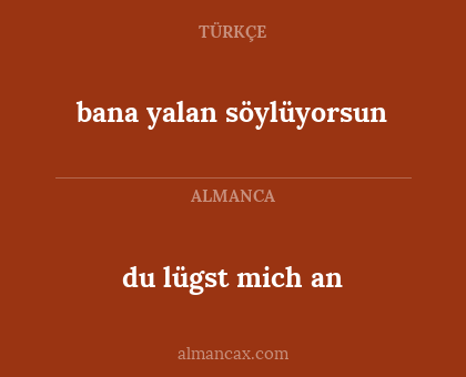 bana yalan söylüyorsun - du lügst mich an