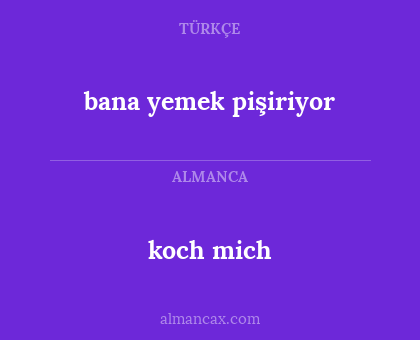 bana yemek pişiriyor - koch mich