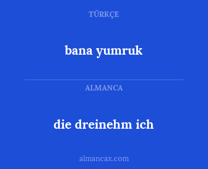 die dreinehm ich - bana yumruk