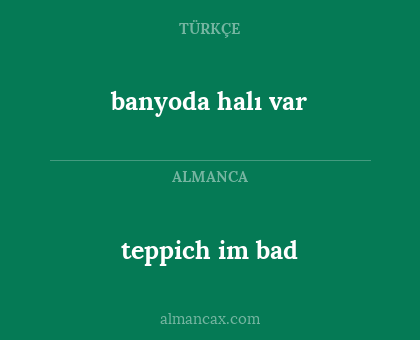 teppich im bad - banyoda halı var