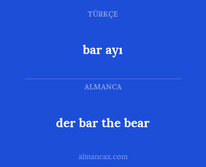 der bar the bear - bar ayı