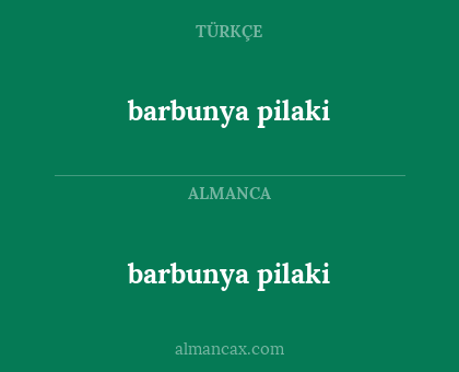 barbunya pilaki - barbunya pilaki