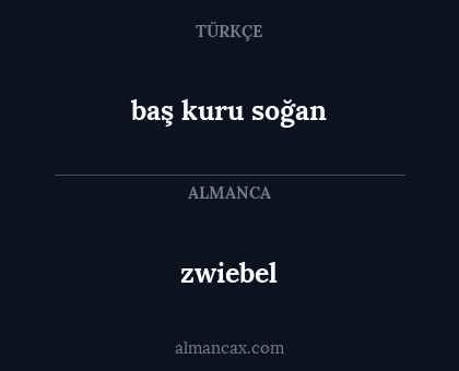 baş kuru soğan - zwiebel