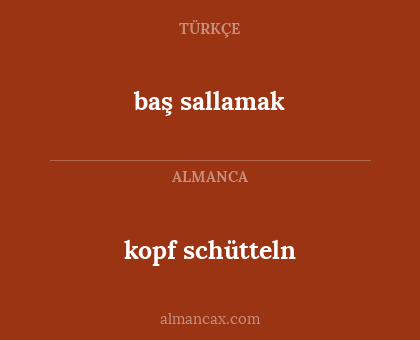 baş sallamak - kopf schütteln