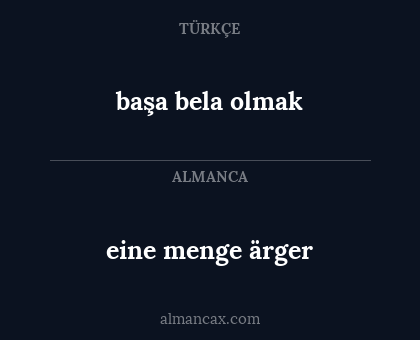 eine menge ärger - başa bela olmak
