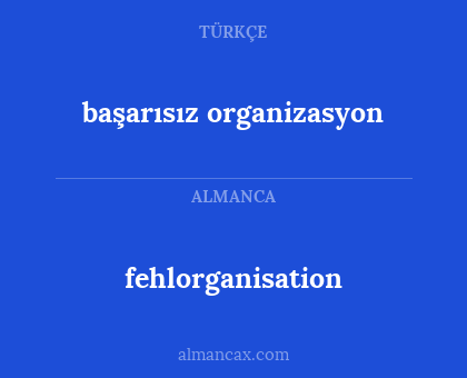 fehlorganisation - başarısız organizasyon