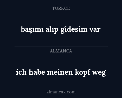 başımı alıp gidesim var - ich habe meinen kopf weg