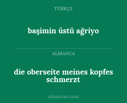 die oberseite meines kopfes schmerzt - başimin üstü ağriyo