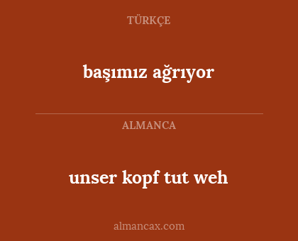 unser kopf tut weh - başımız ağrıyor