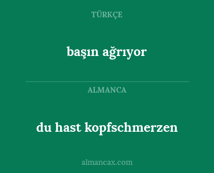 du hast kopfschmerzen - başın ağrıyor